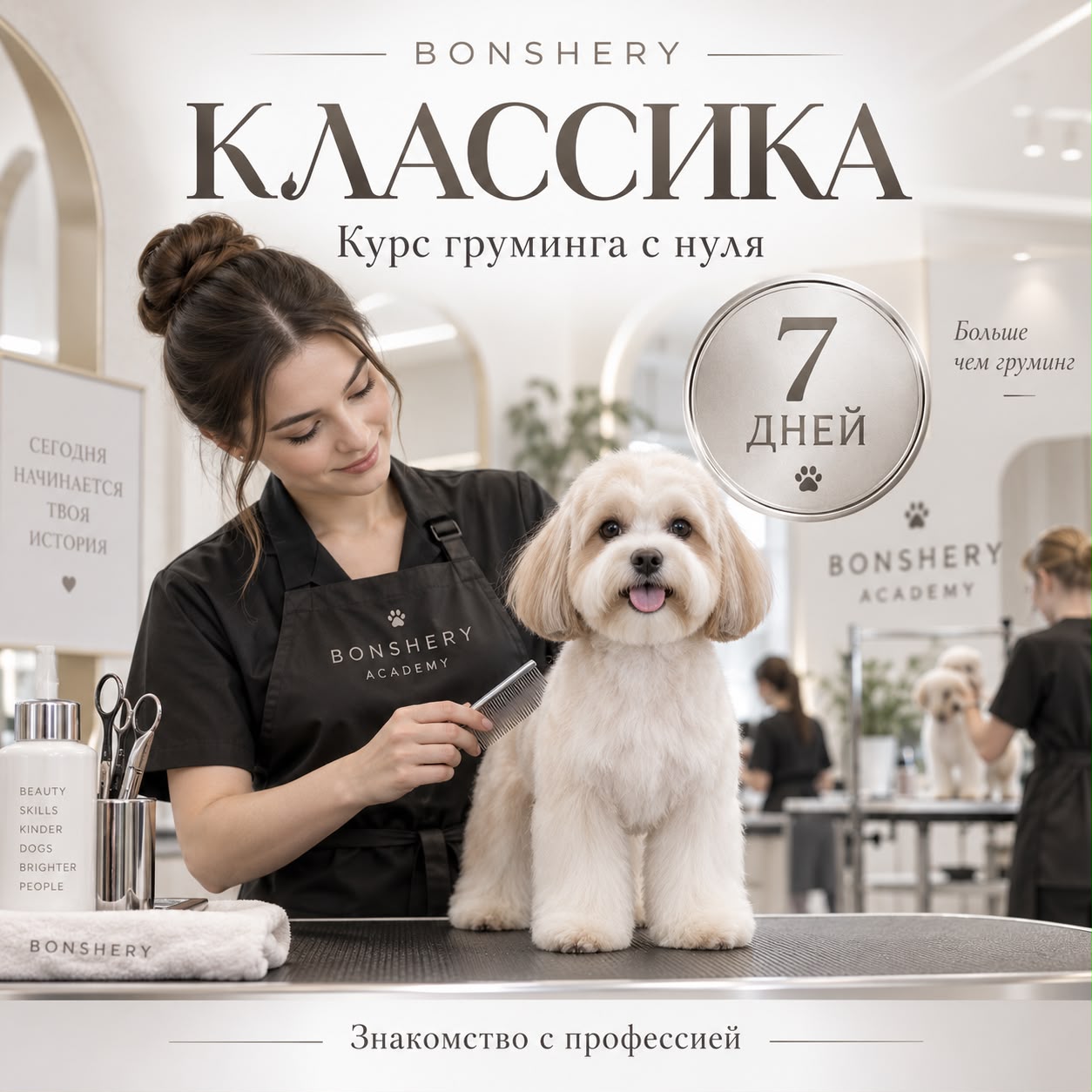 Курс Классика